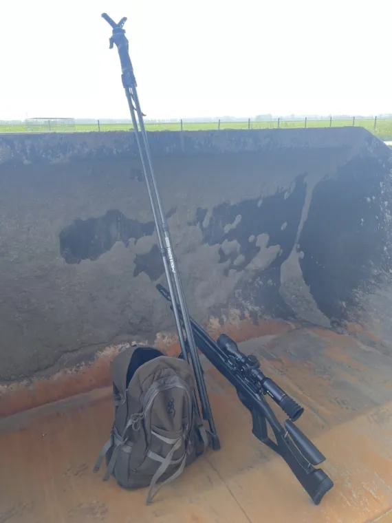 Professionnel pour dépigeonnage grâce à l’intervention à tir