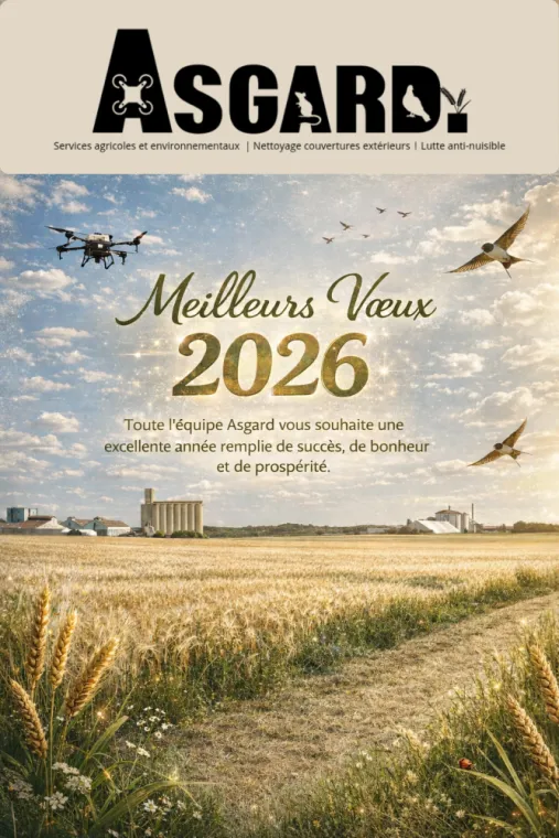 MEILLEURS VOEUX 2026 , Arques, ASGARD