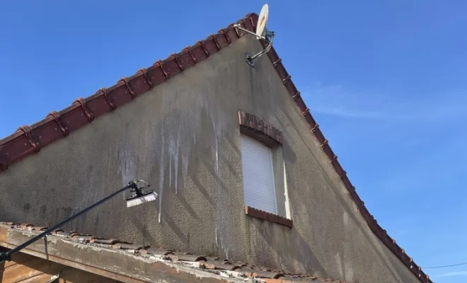 Pulvérisation d'un anti algue sur le pignon à la perche