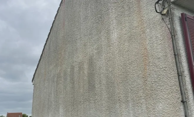 Pignon après pulvérisation du produit